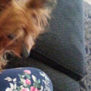 Meet your Posher, Cynthia